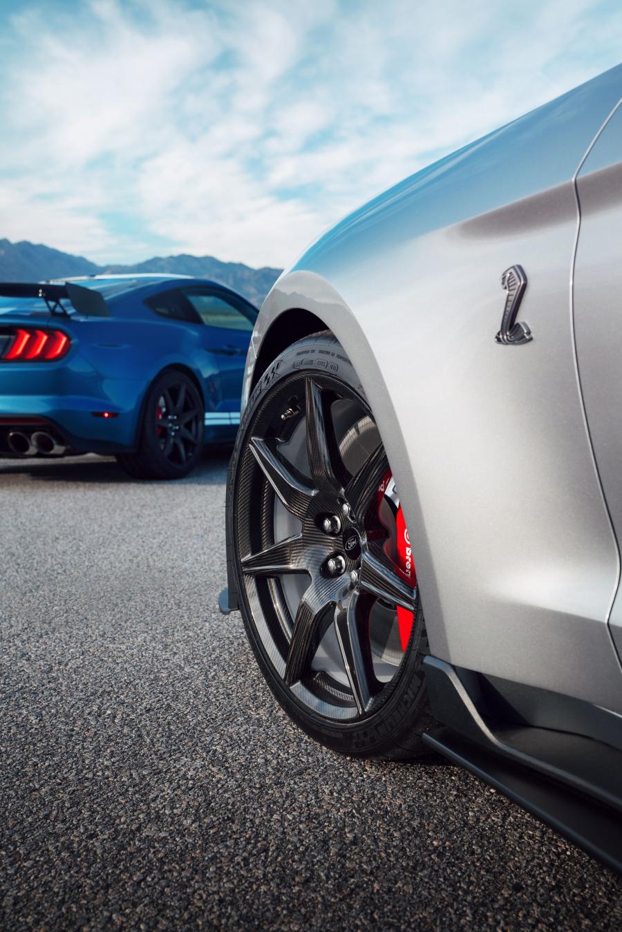 Детали экстерьера Ford Mustang Shelby GT500 2019 года  (фото 22 из 119)